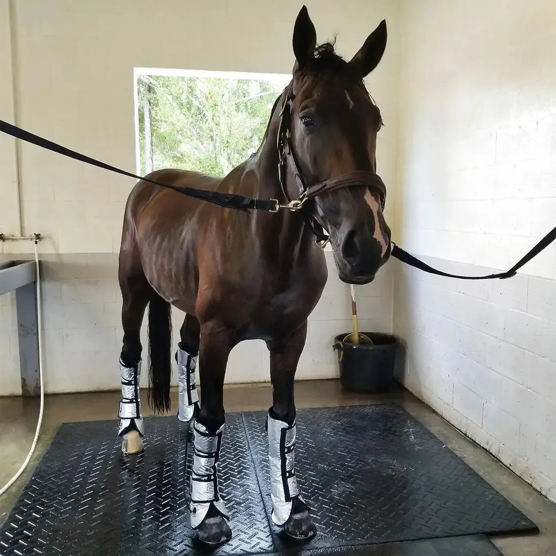 Majyk Equipe Cool Compression Gel Ice Boots for Horses